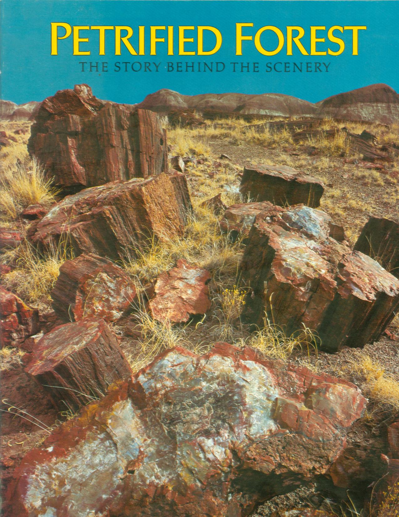 PETRIFIED FOREST: the story behind the scenery (AZ).